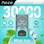 PICCO BREAK 30000 – Mint Ice