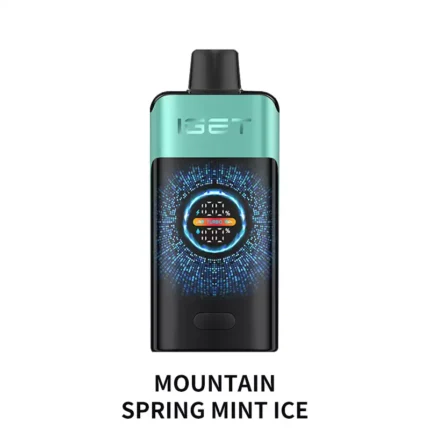 IGET ONE 12000 – Mountain Spring Mint Ice