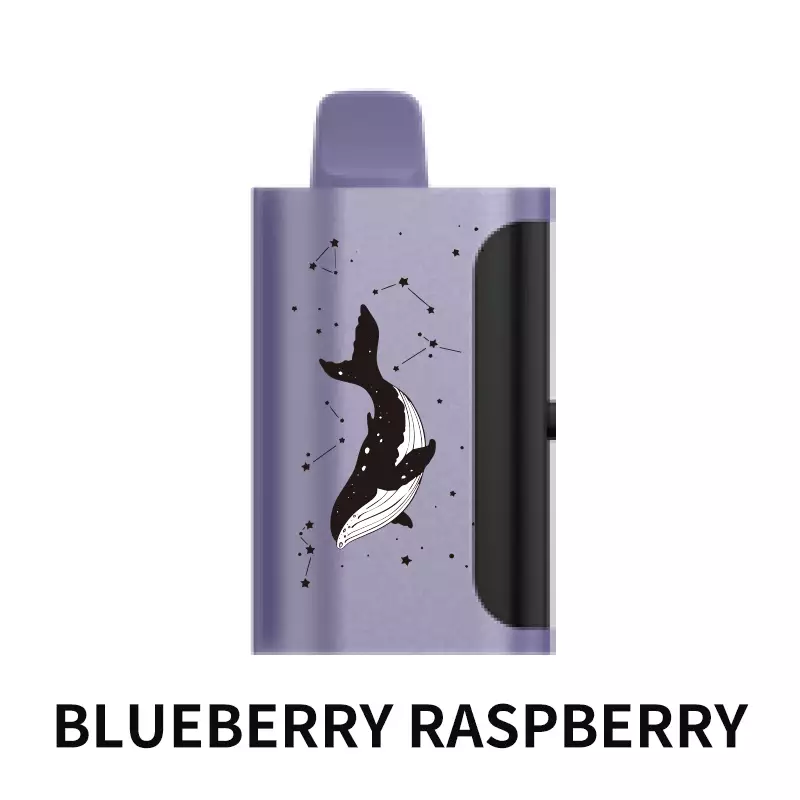 Blueberry Raspberry PICCO STAR 40000 Blueberry Raspberry