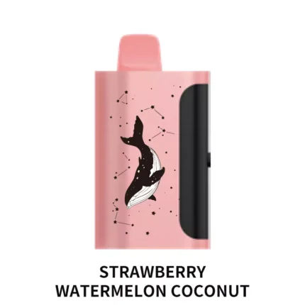 PICCO STAR 40000 Strawberry Watermelon Coconut