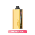 JNR CRUISER 12000 - Peach Ice