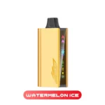 JNR CRUISER 12000 - Watermelon Ice